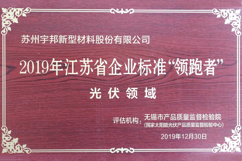 2019 Jiangsu Enterprise Standard Leader (المجال الكهروضوئي)